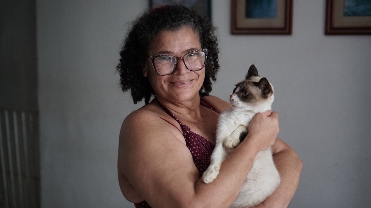 Sandra resgatou três gatos com esporotricose 