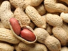 Imagem - Barato e fácil de achar: alimento simples reduz colesterol e pode superar os ovos em proteína