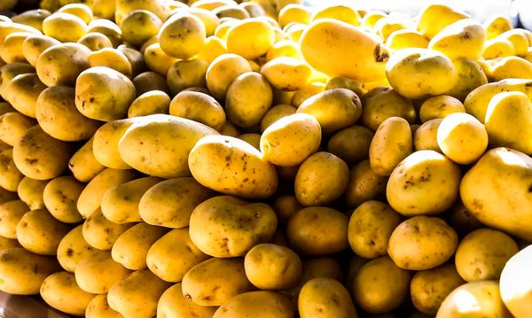 Batata-inglesa
