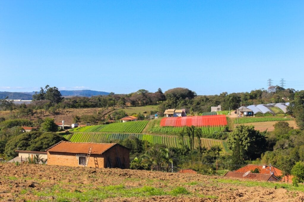 Imagem Edicase Brasil