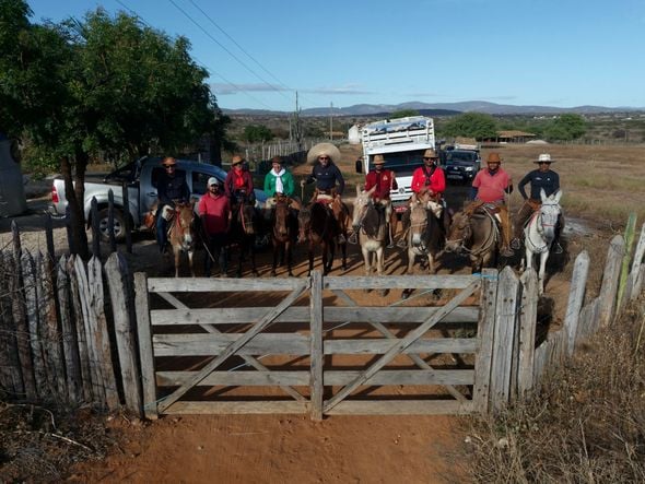 Imagem - Montados em mulas, baianos fazem viagem de 1,7 mil quilômetros para participar de festa em São Paulo