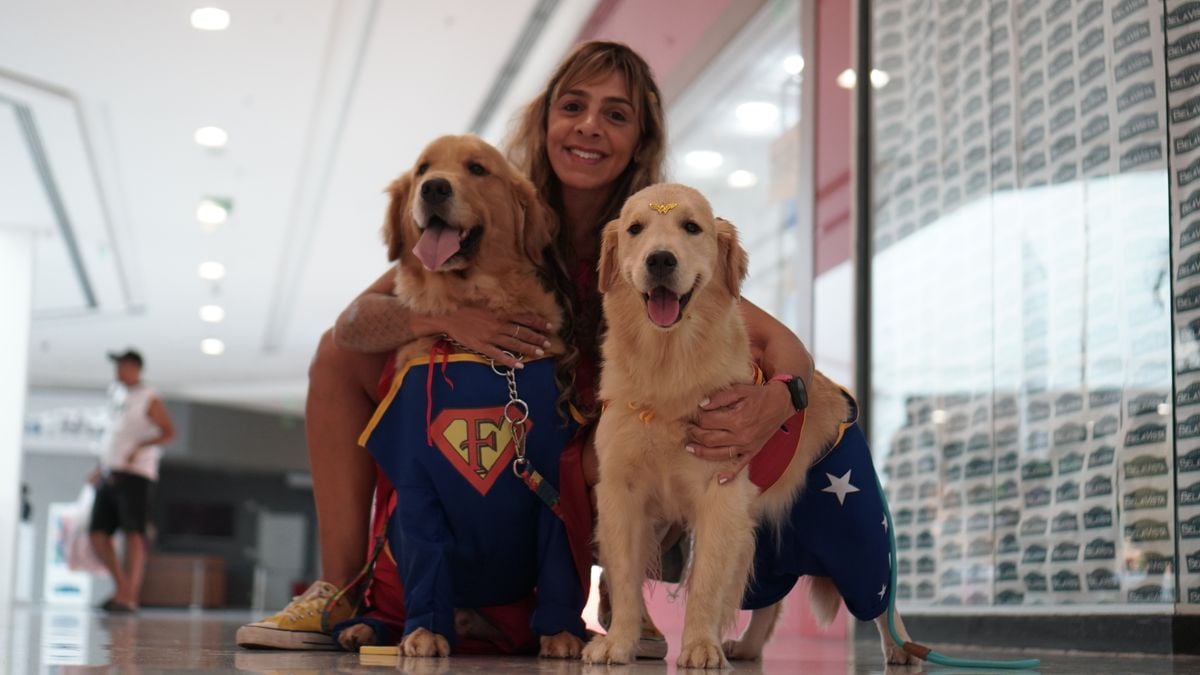 Cosplay de pets no Shopping Bela Vista por Ana Lúcia / CORREIO