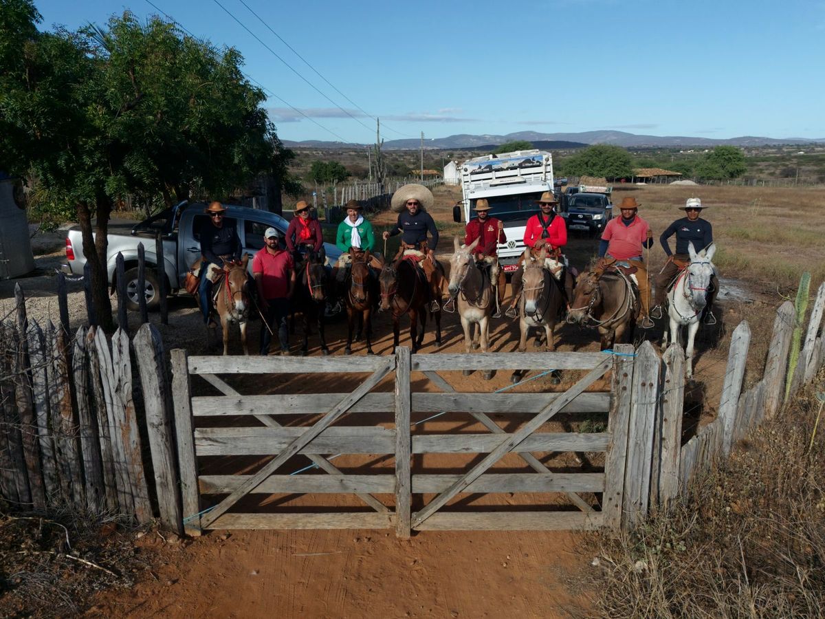 Grupo saiu da cidade baiana de Pé de Serra