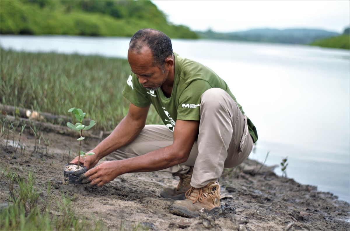 Fundação, com sede em Maragojipe, atua na Baía de Todos os Santos por Divulgação/Fundação Vovó do Mangue