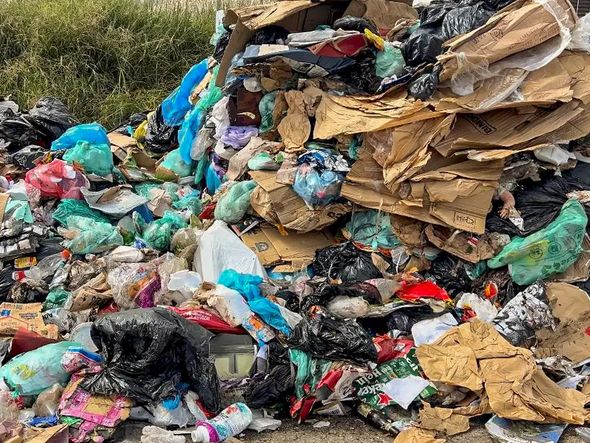 Imagem - Nova plataforma brasileira permite rastrear a reutilização de plástico
