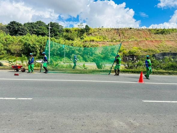 Imagem - Avenidas de Salvador recebem mutirão de roçagem e limpeza
