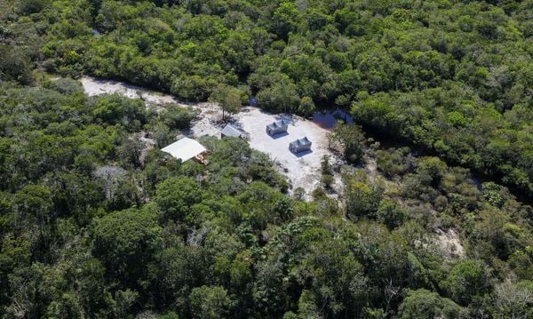  Competidores do Xprize Rainforest testam equipamentos de monitoramento na floresta amazônica na comunidade de Tumbira, que fica dentro da Reserva de Desenvolvimento Sustentável (RDS) do Rio Negro  por  Fabio Rodrigues-Pozzebom/Agência Brasil