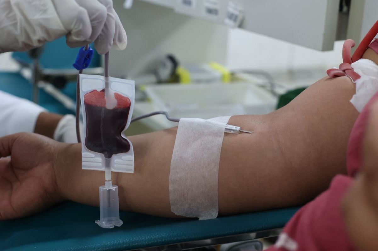 Cada bolsa de sangue pode atender quatro pessoas