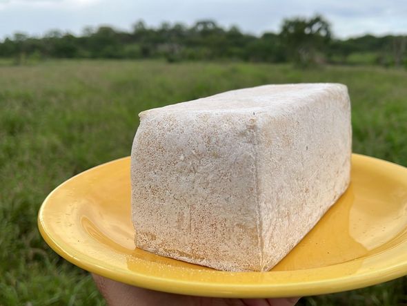 Imagem - Entenda o que faz da Bahia a mais nova queridinha dos queijos