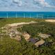 Imagem - Tronox planta mais de 2,2 milhões de mudas nativas em cidade do Nordeste
