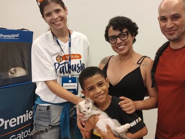 Imagem - Vinte gatos estão disponíveis para adoção durante a exposição GatoGrupo da Bahia
