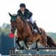 Imagem - Stephan Barcha é quinto no concurso de saltos do hipismo em Paris