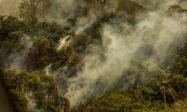 Imagens aéreas mostram áreas devastadas pelo fogo no Pantanal