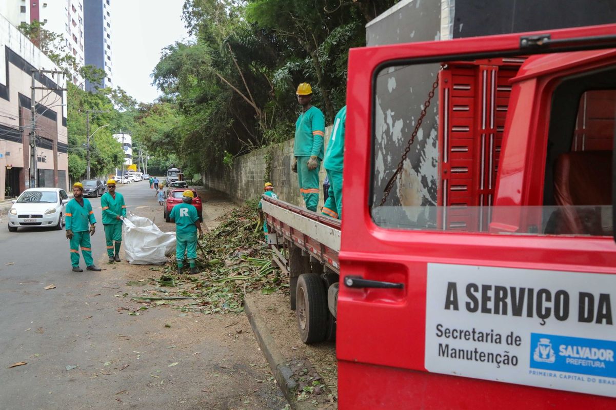 Manutenção de áreas verdes da cidade é uma das atribuições da Seman