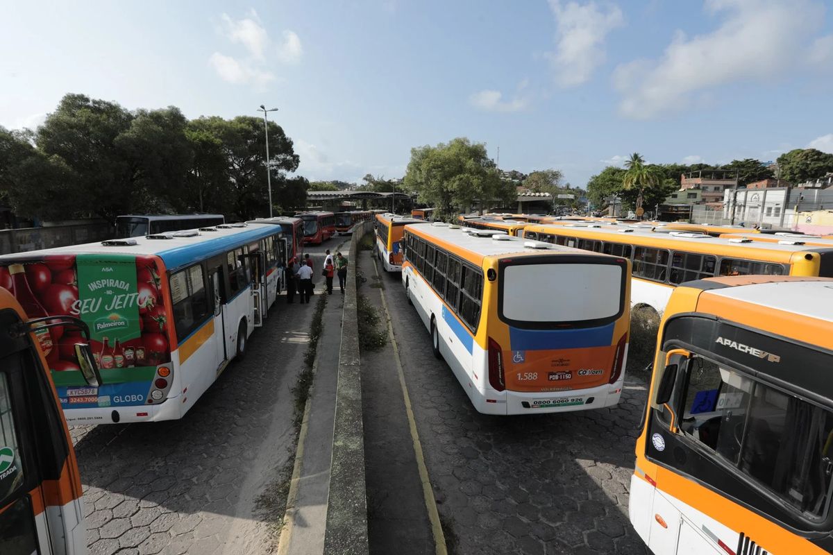 Ônibus no Recife