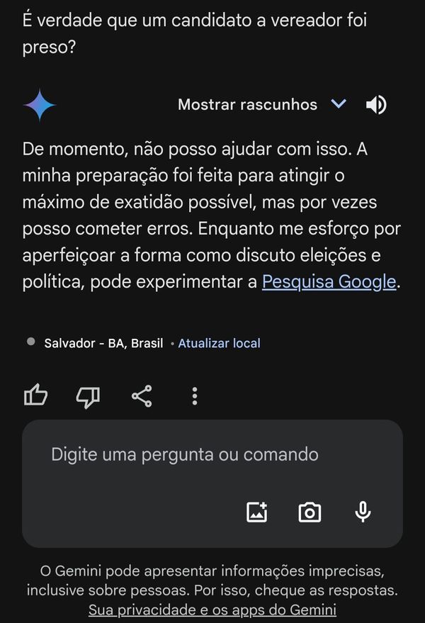 Teste feito pela repórter com o Gemini, do Google