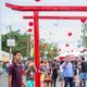 Imagem - Bon Odori em Salvador: Festival de cultura japonesa terá 40 opções de gastronomia