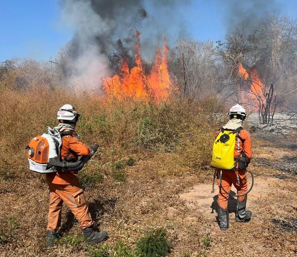 Bombeiros 