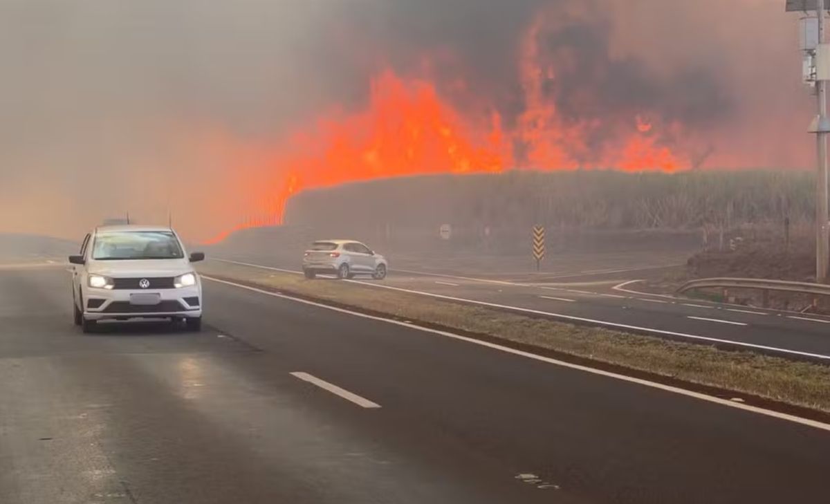 Incêndio  na região de Ribeirão Preto, em São Paulo 