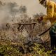 Imagem - Incêndios no Pantanal já consumiram este ano mais de 15% do bioma