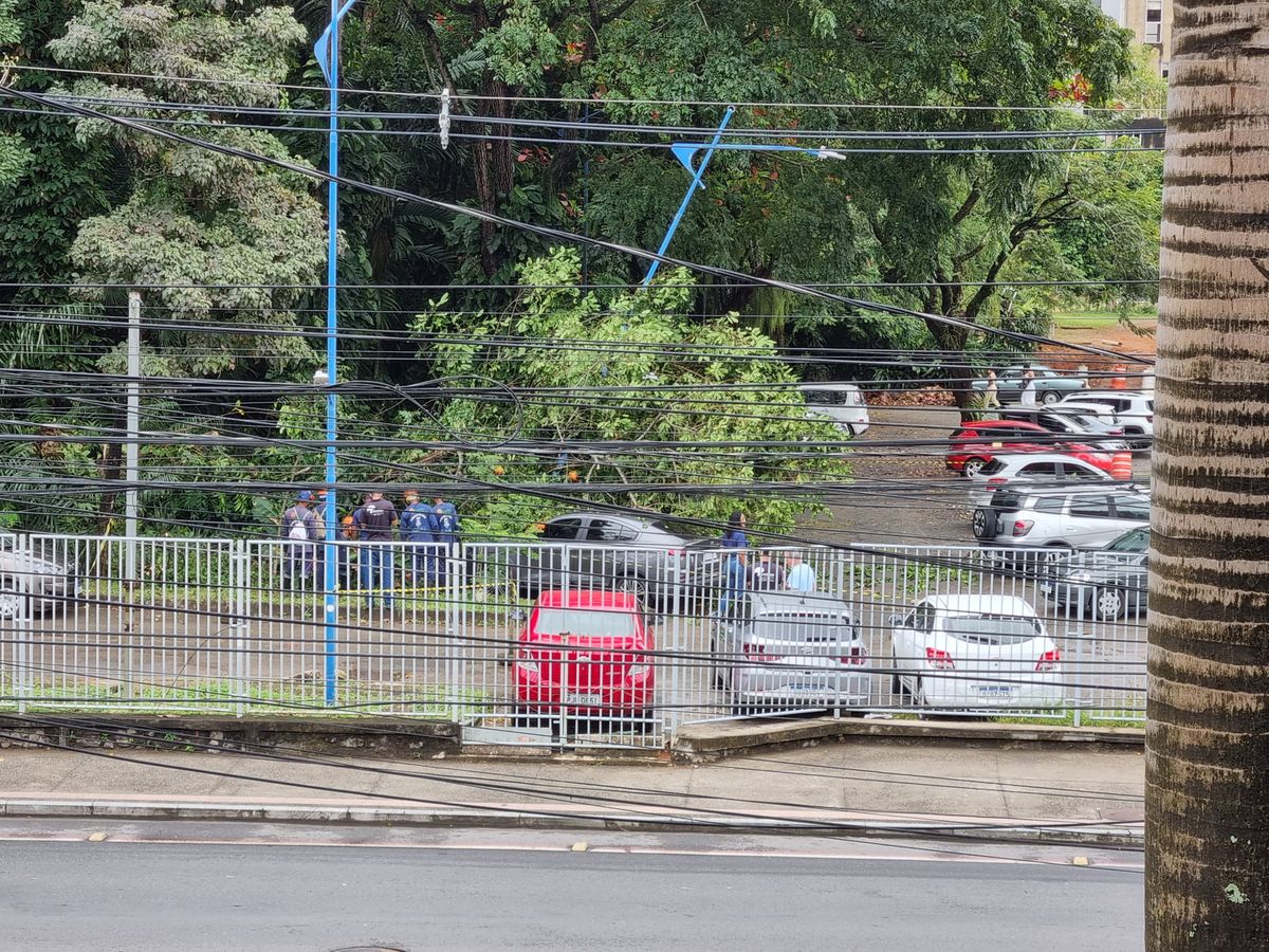 Árvore caiu em cima de carros na Escola de Medicina Veterinária da Ufba