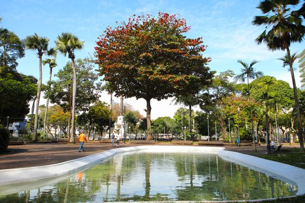 Limpeza na praça do Largo do Campo Grande