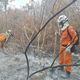 Imagem - Bombeiros apagam incêndios florestais em cinco cidades da Bahia