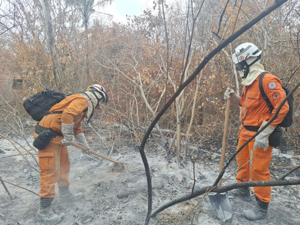 Bombeiros apagando incêndio florestal