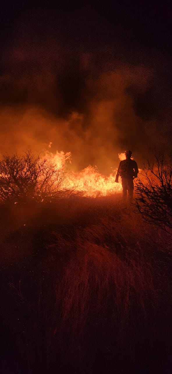 Incêndio florestal