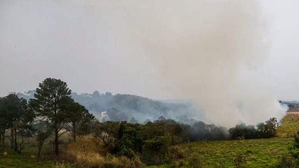 Queimada no Brasil