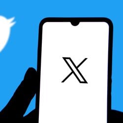 Imagem - Ele voltou!? Usuários do X/Twitter relatam ter conseguido usar rede social bloqueada no Brasil