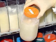 Imagem - Maternidade registra queda expressiva no estoque de leite humano e reforça chamado por doações