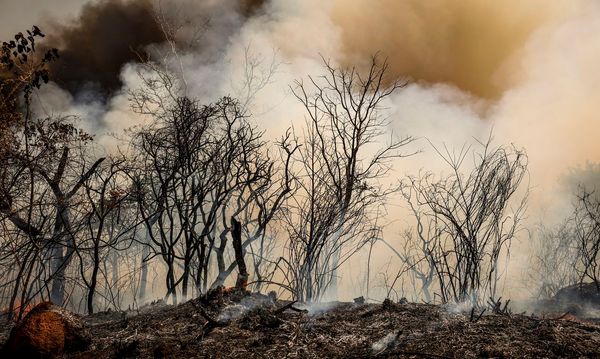 Brigadistas do Instituto Brasília Ambiental e Bombeiros do Distrito Federal combatem incêndio em área de cerrado próxima ao aeroporto de Brasília