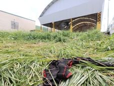 Imagem - Corpo de jovem de 19 anos é encontrado em matagal em Salvador