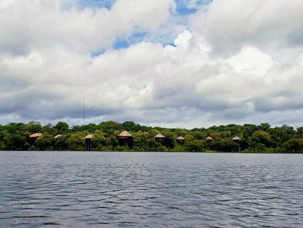 Imagem - Hotel de luxo mostra que é possível fazer uma viagem em grande estilo no meio da selva