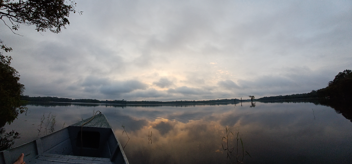 Amanhecer na Floresta Amazônica