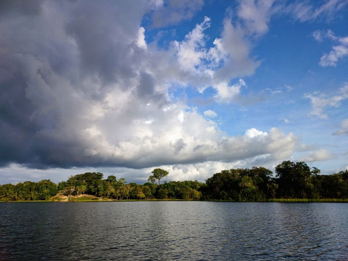 Floresta Amazônica