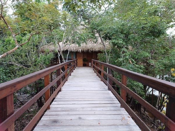 Hotel Juma Amazon Lodge por Brenda Viana / CORREIO