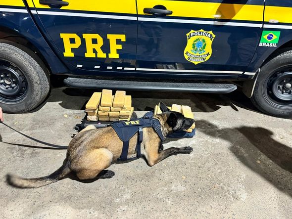 Imagem - Homem é preso com quase 20 kg de maconha em bagagens em Feira de Santana