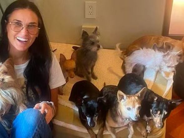 Imagem - Demi Moore abre jogo sobre ser solteira há 11 anos e 'culpa' seus cachorros