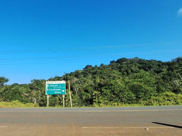 Imagem - Como a IA pode ser utilizada para solucionar disputas de território