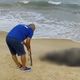 Imagem - Baleia jubarte é encontrada morta em praia do sul da Bahia