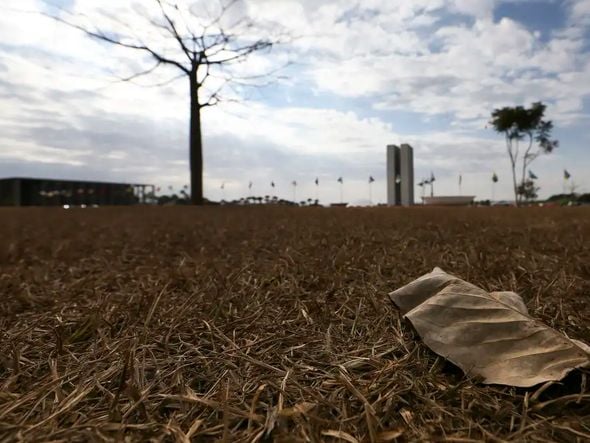 Imagem - Inmet divulga alerta de baixa umidade em três estados do Centro-Oeste