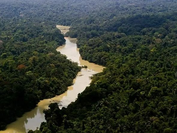 Imagem - Governo entra com primeira ação por danos climáticos contra a Amazônia