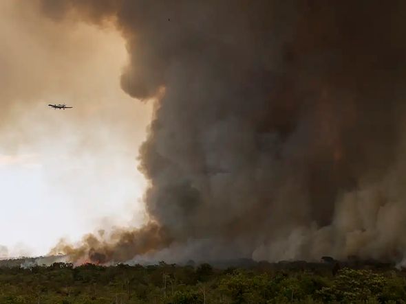 Imagem - Fogo avança e queima 700 hectares do Parque Nacional de Brasília