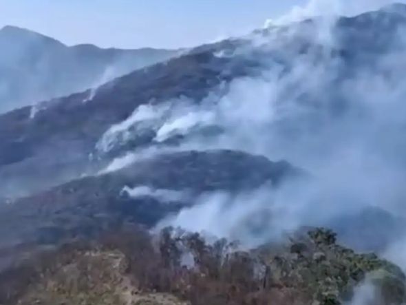 Imagem - Governo investiga mais de 20 pessoas por incêndios florestais no Rio