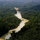 Imagem - Governo entra com primeira ação por danos climáticos contra a Amazônia