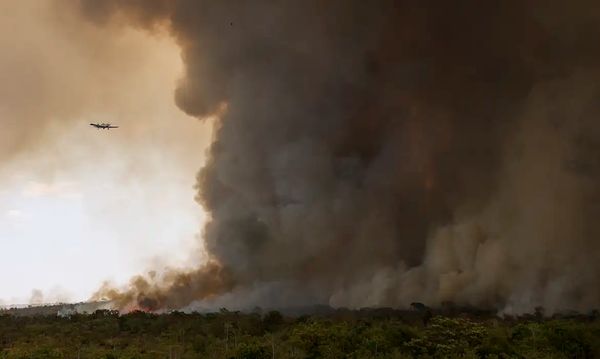 Grandes focos de incêndio atingem áreas do Parque Nacional de Brasília