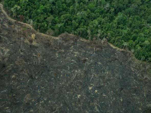 Imagem - Terra Indígena Karipuna de Rondônia tem cenário de incêndio e seca