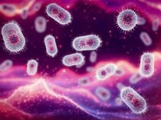 Imagem - Região Norte do Brasil registra dezenas de casos de mpox